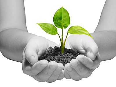 plant in hand.png